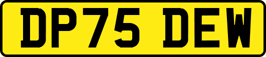 DP75DEW