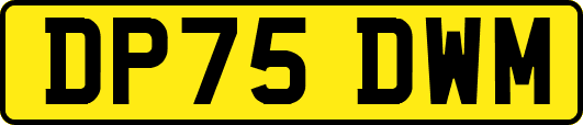 DP75DWM