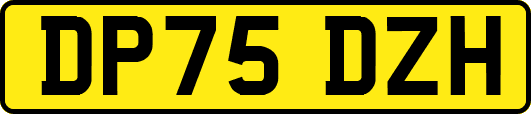 DP75DZH