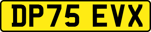 DP75EVX