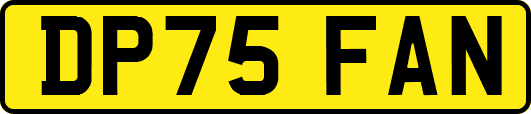 DP75FAN