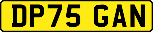 DP75GAN