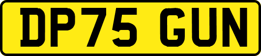 DP75GUN
