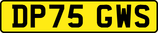 DP75GWS