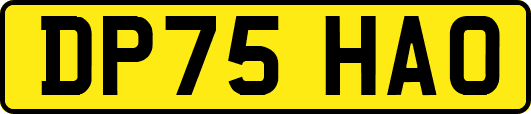 DP75HAO