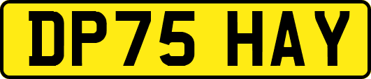 DP75HAY