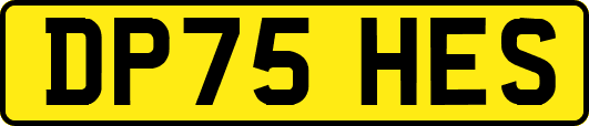 DP75HES