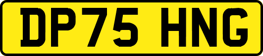 DP75HNG