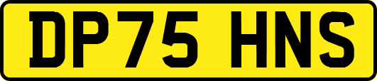 DP75HNS