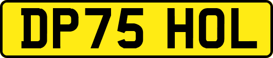DP75HOL