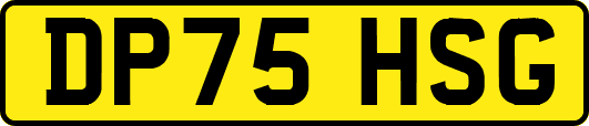 DP75HSG