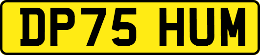 DP75HUM