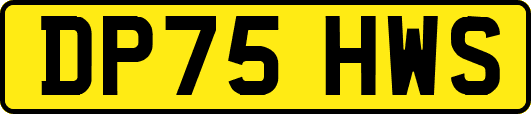 DP75HWS