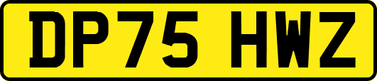 DP75HWZ