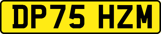 DP75HZM