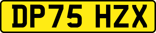 DP75HZX