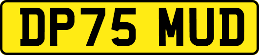 DP75MUD