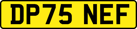 DP75NEF