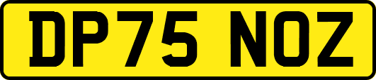 DP75NOZ