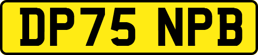 DP75NPB