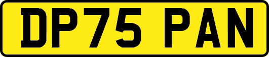DP75PAN