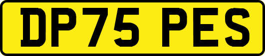 DP75PES