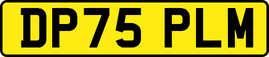 DP75PLM