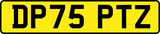 DP75PTZ