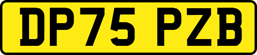 DP75PZB
