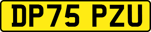 DP75PZU
