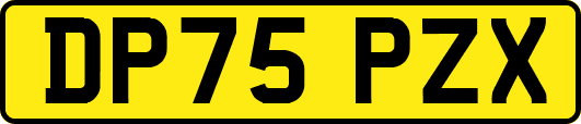 DP75PZX