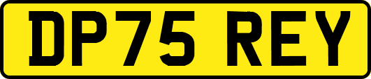 DP75REY