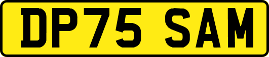 DP75SAM