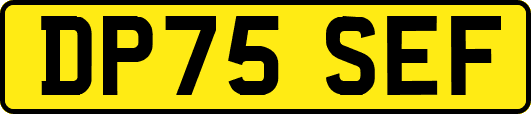 DP75SEF