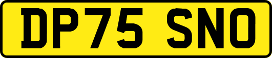 DP75SNO