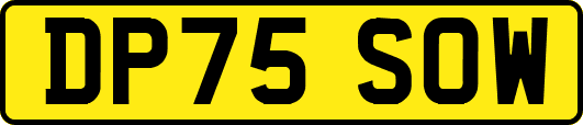 DP75SOW