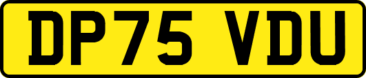 DP75VDU