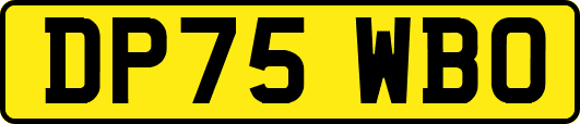 DP75WBO