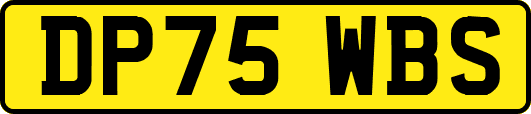 DP75WBS