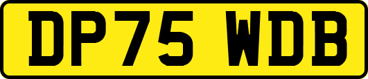 DP75WDB
