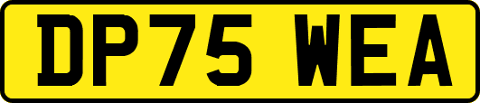 DP75WEA
