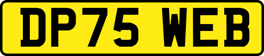 DP75WEB