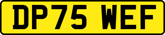 DP75WEF