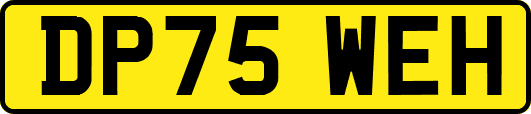 DP75WEH