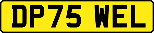 DP75WEL