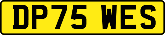 DP75WES
