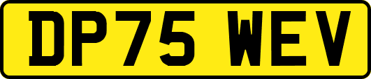DP75WEV