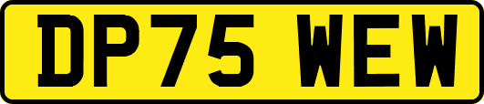 DP75WEW
