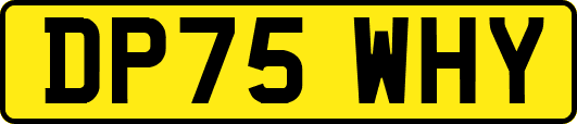 DP75WHY