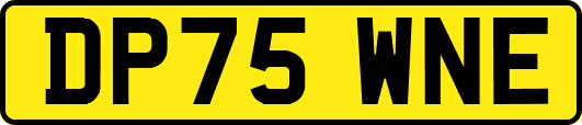 DP75WNE
